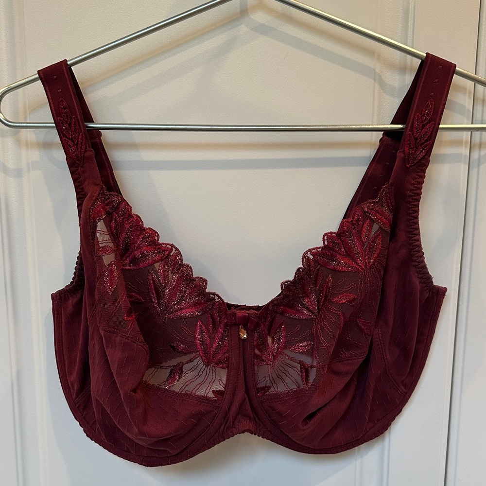 Prima Donna 36G Burgundy Lace Bra
